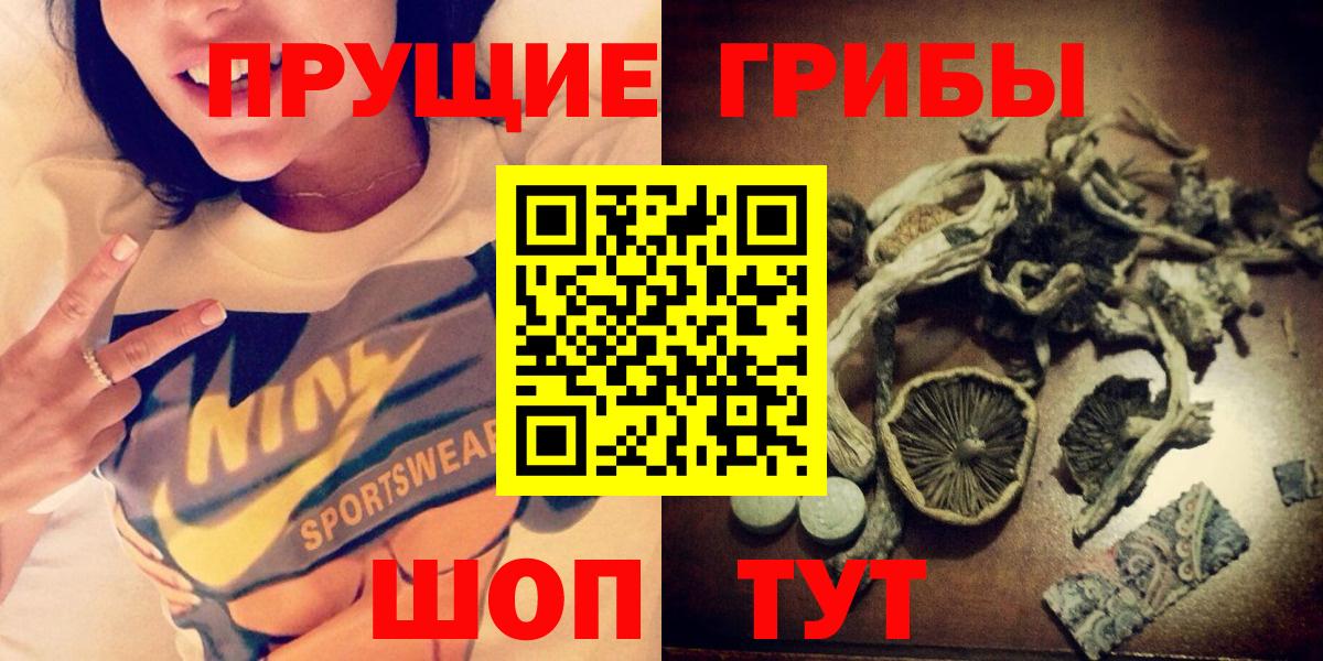 купить  цена  Вход с VPN  Тимашёвск  Псилоцибиновые грибы Psilocybine cubensis 