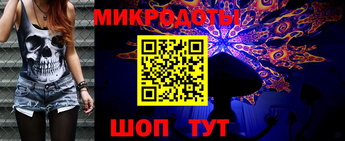 Псилоцибиновые грибы Cubensis Тимашёвск